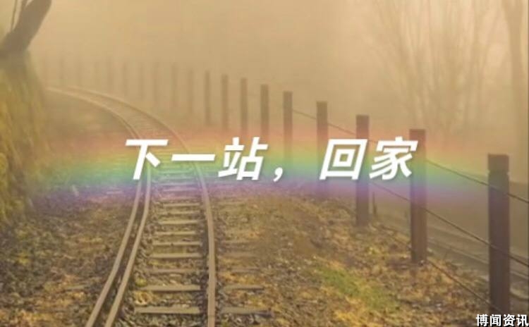 网友分享：东南亚“狗推”心声：利益至上，人性何在？