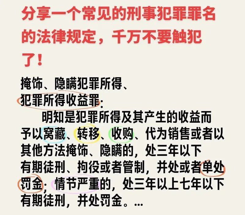聚焦热点：在迪拜给“盘总”当了十几天助理？回国被判了6个月？