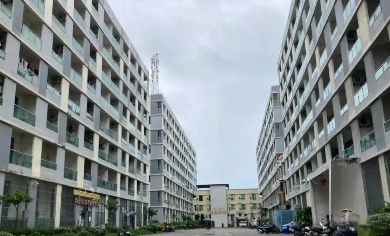 西哈努克港中国城一台湾男子头部受重创后死亡!